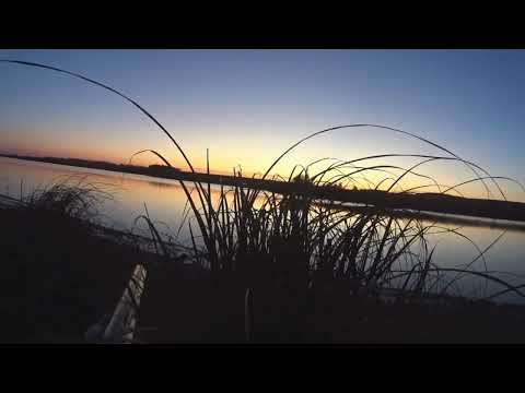 Видео: Подманил осеннего крякаша на манок и чучела, охота октябрь 2024.