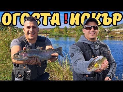 Видео: Риболов на ПЪСТЪРВА и КЛЕН по р. ИСКЪР и р. ОГОСТА! Ниска ВОДА и КАПРИЗНИ РИБИ!