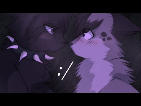 Видео: Топ 6 самых странных шиппов в котах воителях