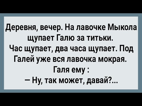 Видео: Как Мыкола На Лавочке Галю Щупал! Сборник Свежих Анекдотов! Юмор!