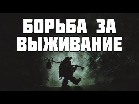 Видео: S.T.A.L.K.E.R. Борьба за Выживание. Два "Шедевра" в Одном Видео