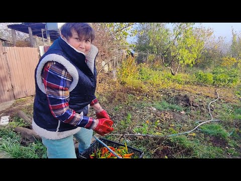 Видео: Работы полно !!! Не успеваем..