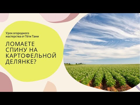 Видео: 515. Может хватит спину ломать на картофельной делянке? Ведь все так  просто...