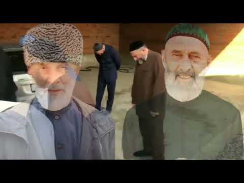 Видео: ГАРАЕВ 1АБДУЛЛАХ1 И  САЙД-МОХЬМАД 