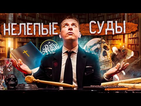 Видео: НЕЛЕПЫЕ ПРИГОВОРЫ [МАСКИ КЛИО]