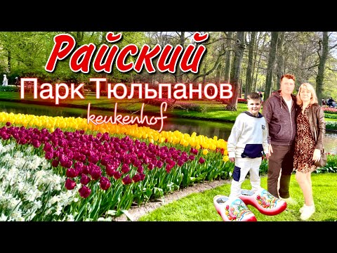 Видео: Королевский Парк Тюльпанов в Голландии/ Райский Парк Цветов Keukenhof