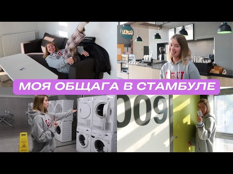 Видео: Все студенты должны жить так | ROOM TOUR по моей общаге в Турции