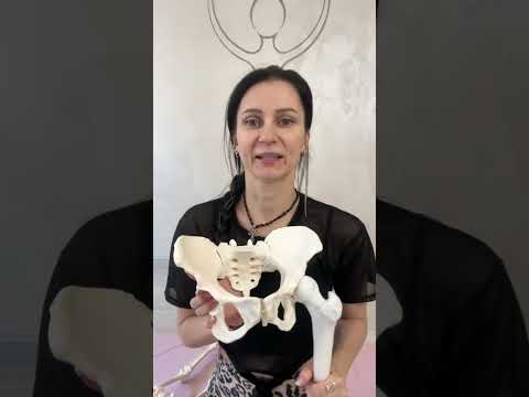 Видео: Лекция тазобедренные суставы