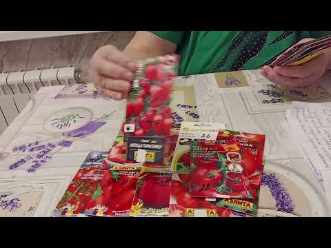 Видео: Помидоры для открытого грунта.