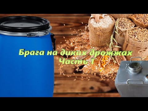 Видео: Брага на диких дрожжах. Часть 1 Простой и подробный рецепт приготовление браги