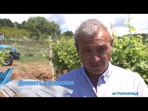 Видео: За лозята трябва сърце