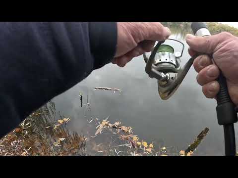 Видео: Риболовля на отводний повідець