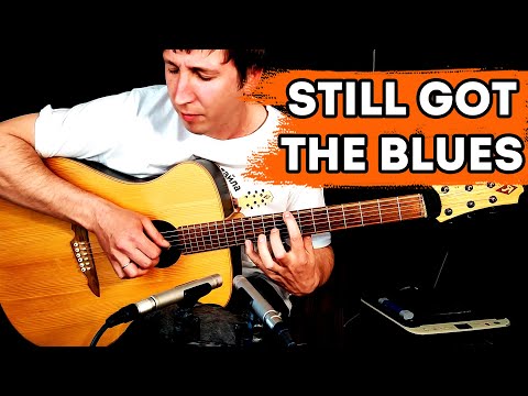 Видео: Still got the blues или как рвать душу в стиле Гэри Мура