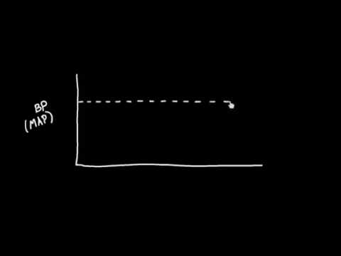 Видео: Типы и симптомы артериальной гипертензии