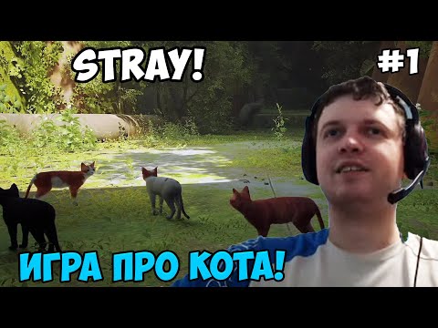 Видео: Папич играет в Stray! Игра про кота! 1
