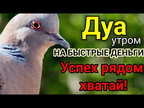 Видео: Дуа утром,НА БЫСТРЫЕ ДЕНЬГИ, Деньги придут откуда не ждешь | Ясин,Аяль Курси, POWERFUL DUA FOR MONEY