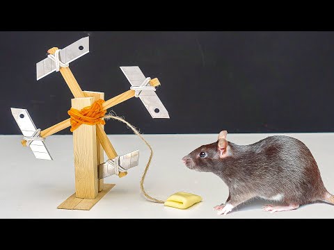 Видео: Самая БЕЗУМНАЯ мышеловка в мире 🐀😲