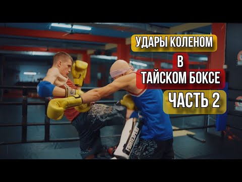 Видео: Удары коленом в тайском боксе часть 2