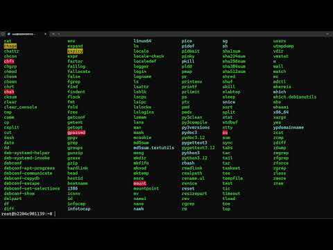 Видео: 10  Выполнение цепочки команд