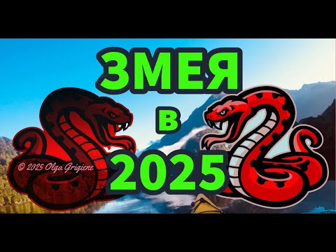 Видео: Прогноз для ЗМЕИ в год Змеи 2025