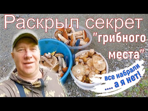Видео: Раскрыл секретное место! Грибов тьма, все набрали.... а я нет! Нижний Тагил. 31 июля 2025 г.