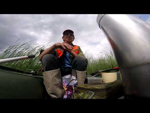 Видео: СЪЕЗДИЛ НА ЗАЛИВ ЗОЛОТАРЁВА/ПОЛОВИЛ НА КРУЖКИ/ БЕЛАЯ РЫБА