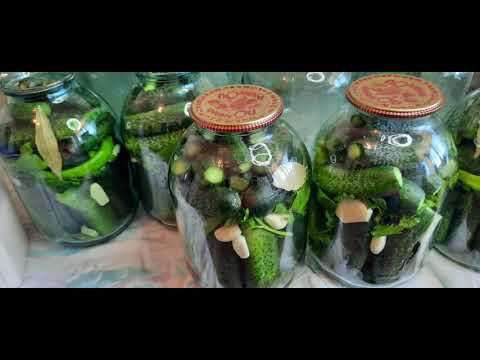 Видео: ОГУРЦЫ НА ЗИМУ ОЧЕНЬ ВКУСНЫЕ И ХРУСТЯЩИЕ  /  CUCUMBERS FOR WINTER ARE VERY TASTY AND CRUNCHY