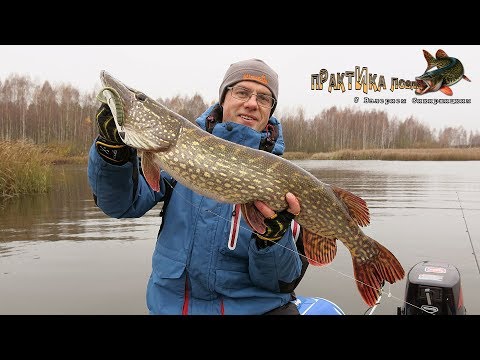 Видео: Крупная щука на джиг. Практика ловли с Валерием Сикиржицким. Выпуск 39