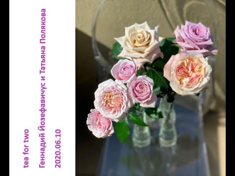 Видео: 2020 06 10 Татьяна Полякова и Геннадий Иозефавичус –  чайная роза.
