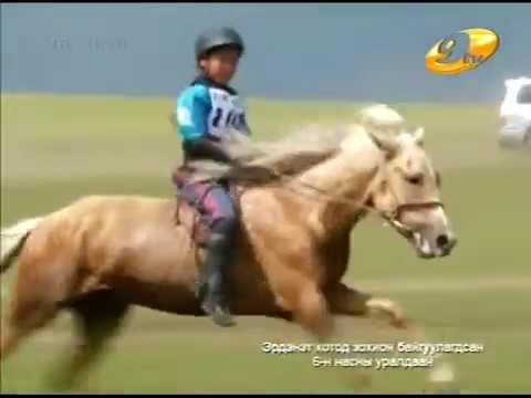 Видео: 2013 оны Хангайн бүс худалдааны төвийн нэрэмжит уралдаан СОЁОЛОН