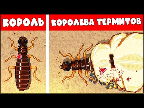 Видео: ЭВОЛЮЦИЯ ТЕРМИТОВ! КОРОЛЬ и КОРОЛЕВА ТЕРМИТОВ | КООПЕРАТИВНЫЕ БОИ - Pocket Ants: Симулятор Колонии