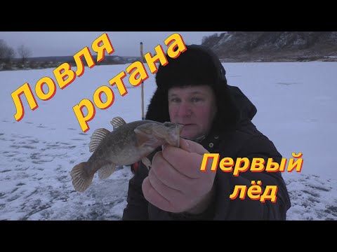 Видео: Ловля ротана зимой. Первый лёд.