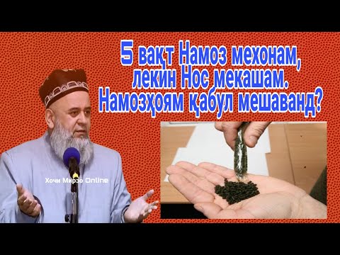 Видео: Тамошо кунед. Намозхоямро мехонам вале нос мекашам. Хочи мирзо саволу чавоб