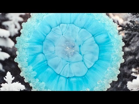 Видео: #361 Не то, что я хотела, но мне очень нравится этот цветок из эпоксидной смолы.