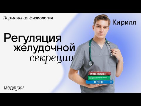Видео: Регуляция желудочной секреции | Нормальная физиология