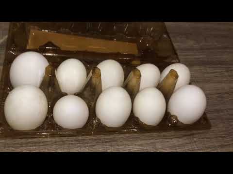 Видео: Божественный амлет из утиных яиц !🙏