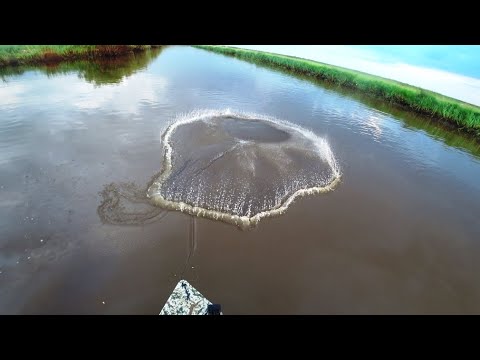 Видео: Ловим рыбу НАКРИВУШКОЙ. Хищник на спиннинг.  Опять весь вымок.