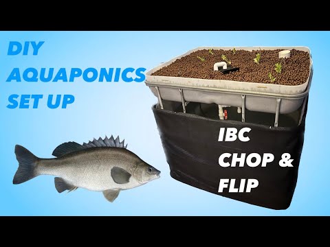 Видео: Создайте собственную систему аквапоники в теплице с помощью IBC (Chop and Flip)!
