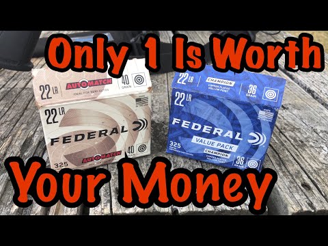 Видео: ХУДШИЕ 22 патрона, которые я когда-либо покупал (и почему второй на самом деле хорош) Чемпион про...