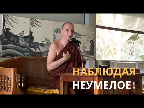 Видео: «Когда в вашем Сердце появляется что-то неумелое — наблюдайте это» | Практика с Аджаном Хубертом