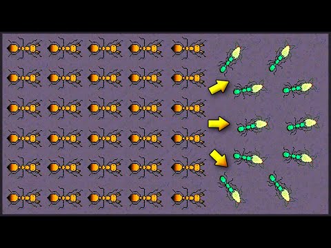 Видео: КАК ЗАВОЕВАТЬ ФЕРМУ ТЛИ? КАК ФАРМИТЬ НЕКТАР? Pocket Ants Симулятор Колонии
