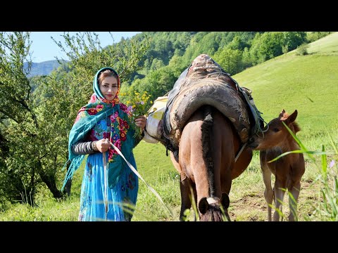 Видео: ИРАН Кочевая жизнь! Готовим бульон из баранины на вершине гор и строим приют кочевников