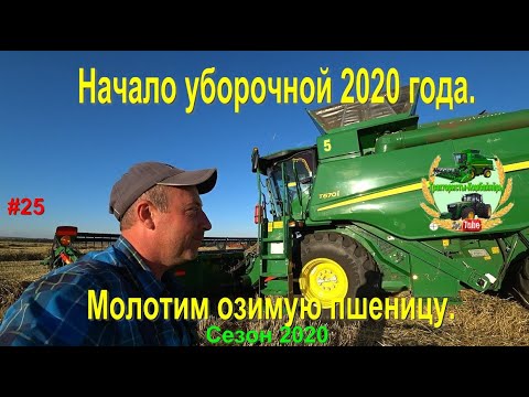 Видео: Начало уборочной 2020 года!!! Молотим озимую пшеницу