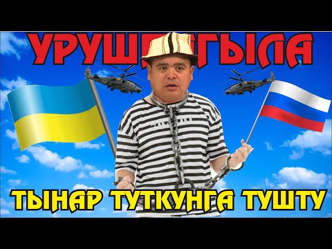 Видео: Тынар туткунга түштү//Тынар жардыго баарын