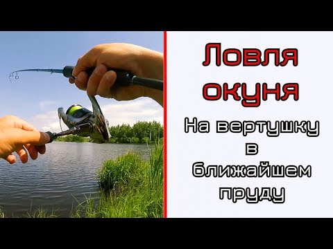 Видео: Окунь на вертушку возле столицы.