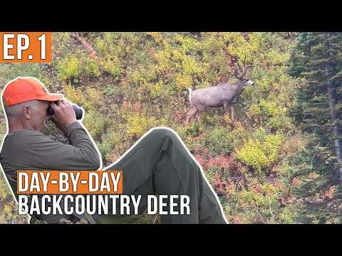 Видео: Первый день оленя? | Олень в глубинке (Эпизод 1)