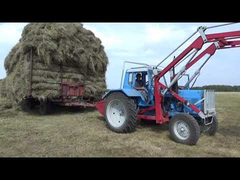 Видео: Сенокос 2019. Скирдуем сено. 5 часть.