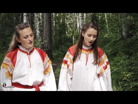 Видео: «Тропы»