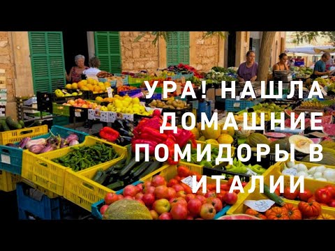 Видео: Ооо‼️💯😋 Нашла домашние помидоры 🍅 💃‼️ И где входы в подземелья🤩⁉️
