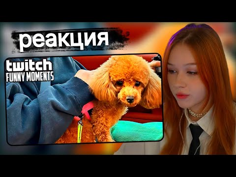 Видео: Морфи смотрит Топ Моменты с Twitch | Несчастный Случай у Бустера